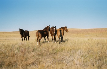 ruralhealth-3